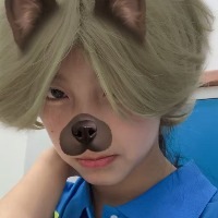 大连Les会员：小飞机的头像